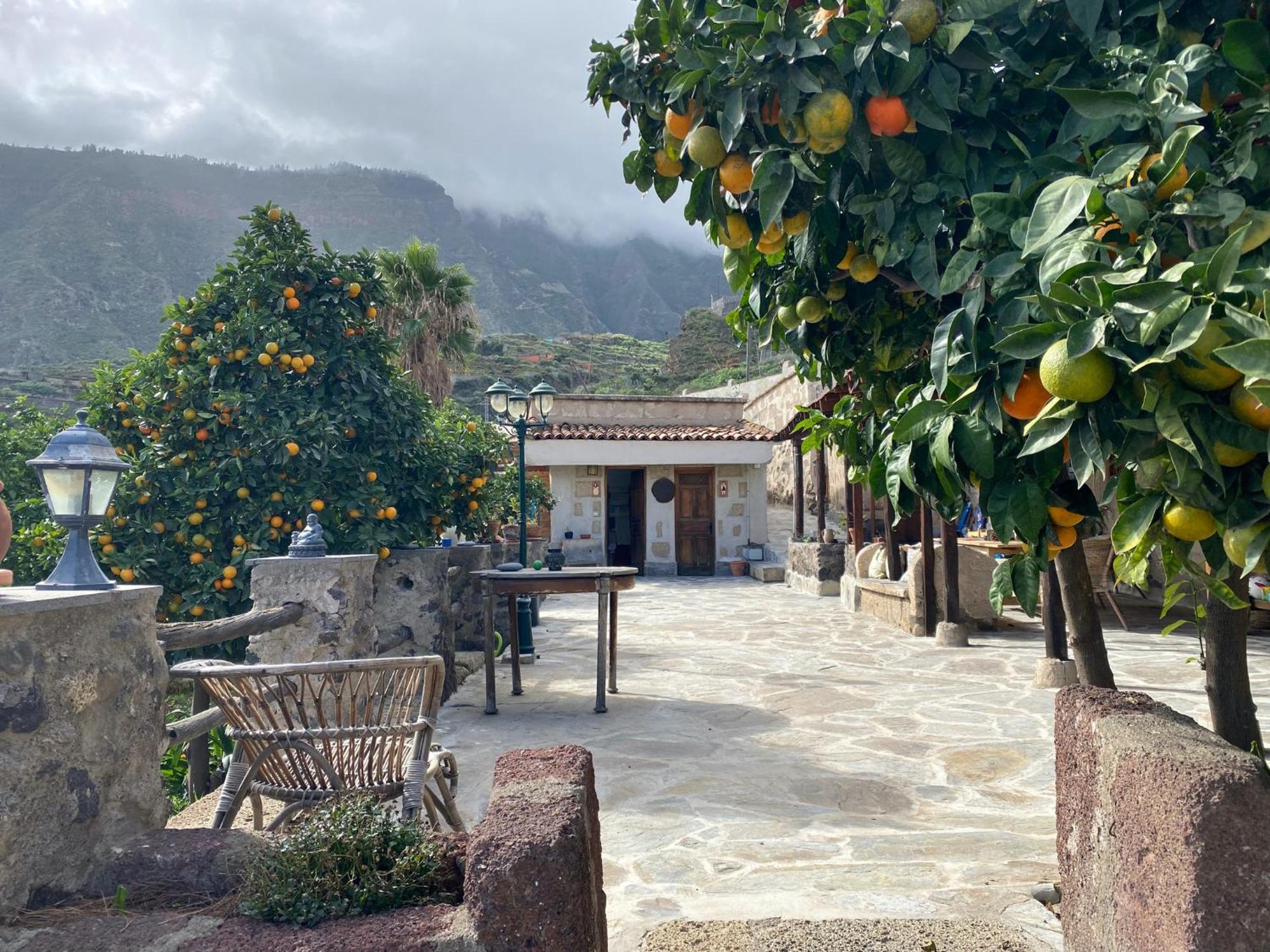 Biofinca Casa El Riego Guimar Exterior photo